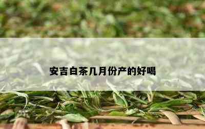 安吉白茶几月份产的好喝