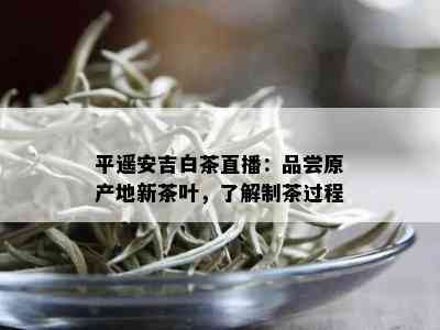 平遥安吉白茶直播：品尝原产地新茶叶，了解制茶过程