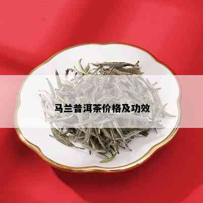 马兰普洱茶价格及功效