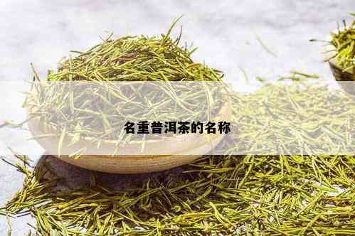 名重普洱茶的名称