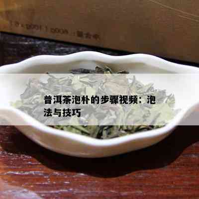 普洱茶泡朴的步骤视频：泡法与技巧