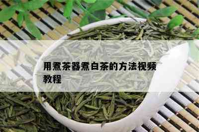 用煮茶器煮白茶的方法视频教程