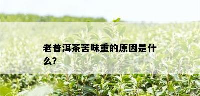 老普洱茶苦味重的原因是什么？