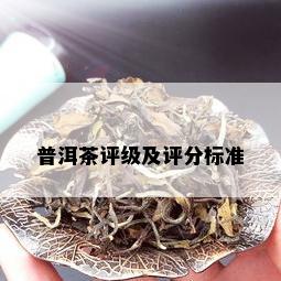 普洱茶评级及评分标准