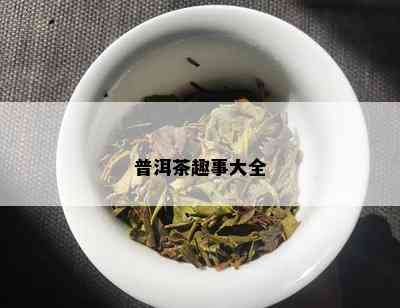 普洱茶趣事大全