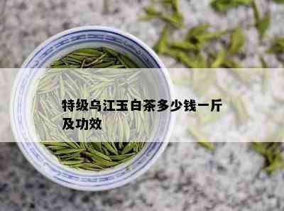 特级乌江玉白茶多少钱一斤及功效