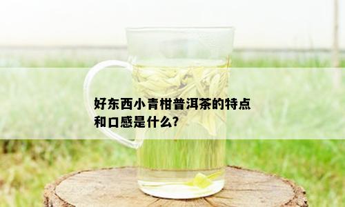 好东西小青柑普洱茶的特点和口感是什么？