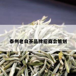 泰州老白茶品牌招商会策划