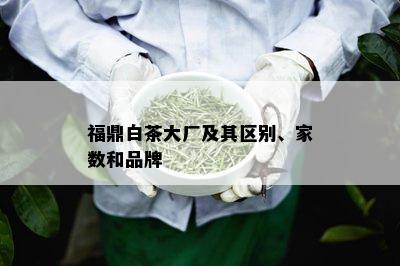 福鼎白茶大厂及其区别、家数和品牌