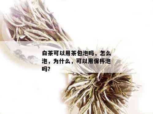 白茶可以用茶包泡吗，怎么泡，为什么，可以用保杯泡吗？