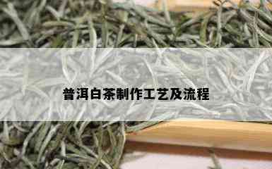 普洱白茶制作工艺及流程