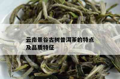 云南景谷古树普洱茶的特点及品质特征