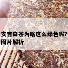 安吉白茶为啥这么绿色呢？图片解析