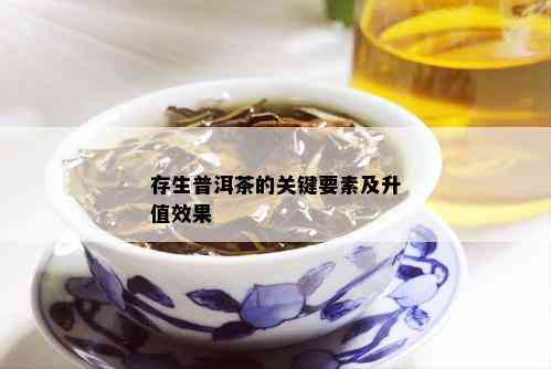 存生普洱茶的关键要素及升值效果