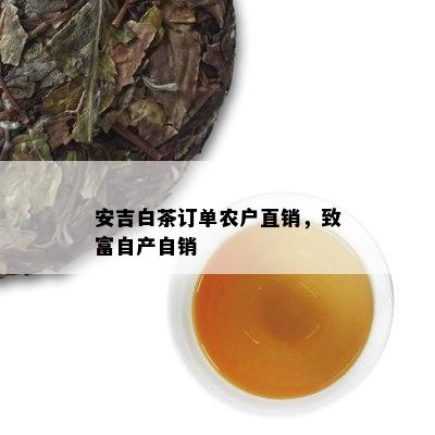 安吉白茶订单农户直销，致富自产自销