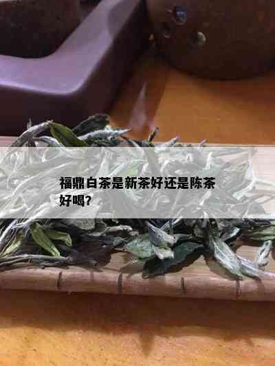 福鼎白茶是新茶好还是陈茶好喝？