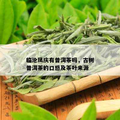 临沧凤庆有普洱茶吗，古树普洱茶的口感及茶叶来源