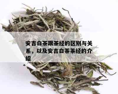 安吉白茶跟茶经的区别与关系，以及安吉白茶茶经的介绍