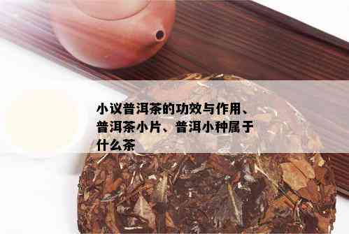 小议普洱茶的功效与作用、普洱茶小片、普洱小种属于什么茶