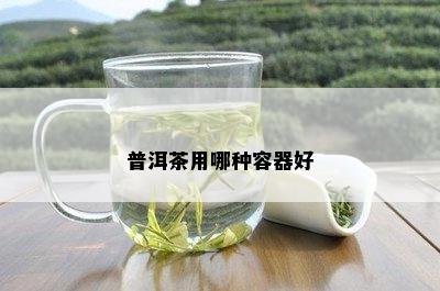 普洱茶用哪种容器好