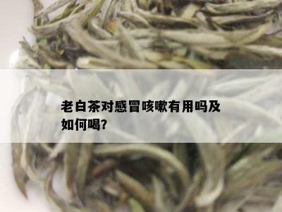 老白茶对感冒咳嗽有用吗及如何喝？