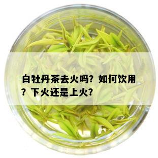 白牡丹茶去火吗？如何饮用？下火还是上火？