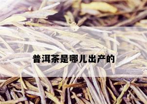 普洱茶是哪儿出产的