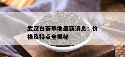 武汉白茶基地最新消息：价格及特点全揭秘