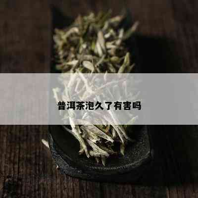 普洱茶泡久了有害吗