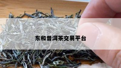 东和普洱茶交易平台