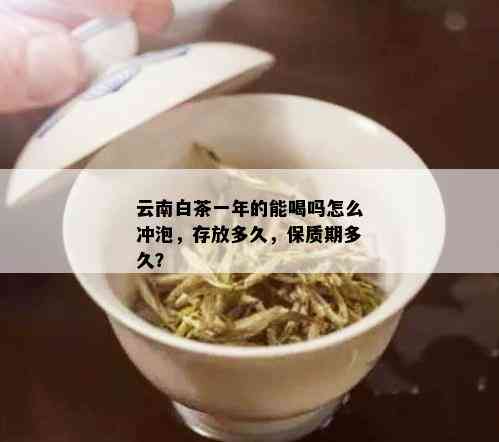 云南白茶一年的能喝吗怎么冲泡，存放多久，保质期多久？