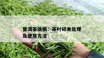 普洱茶撬痕：茶叶碎末处理及使用方法