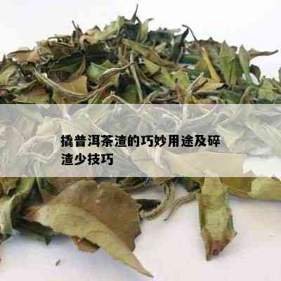 撬普洱茶渣的巧妙用途及碎渣少技巧