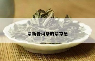 清新普洱茶的清凉感