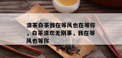 清茶白茶我在等风也在等你，白茶清欢无别事，我在等风也等你