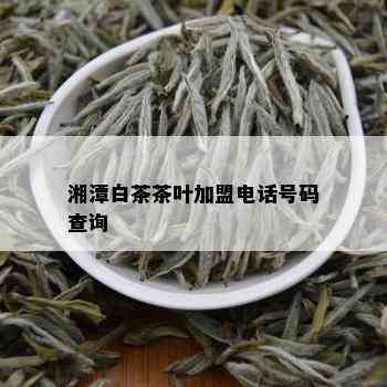 湘潭白茶茶叶加盟电话号码查询