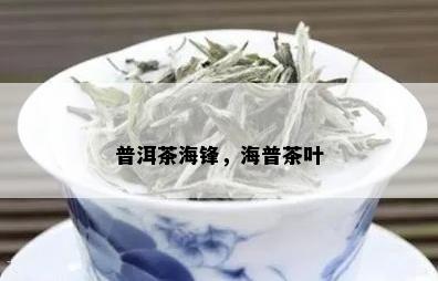 普洱茶海锋，海普茶叶