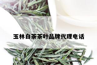 玉林白茶茶叶品牌代理电话