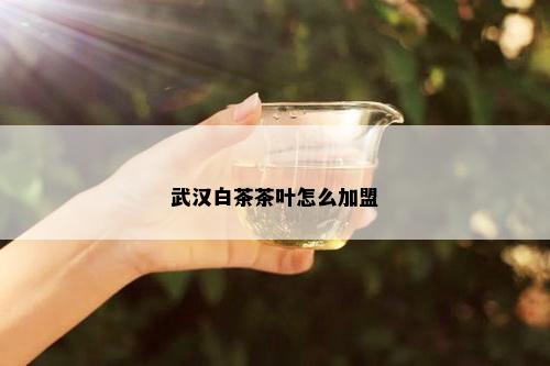 武汉白茶茶叶怎么加盟