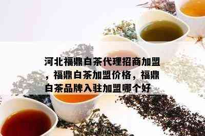 河北福鼎白茶代理招商加盟，福鼎白茶加盟价格，福鼎白茶品牌入驻加盟哪个好