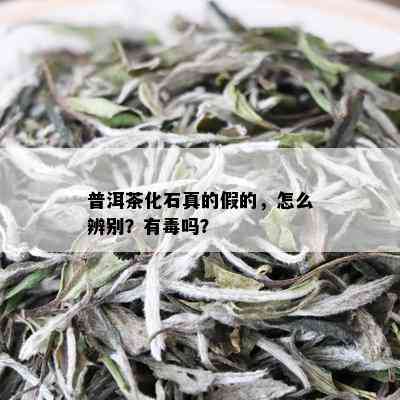 普洱茶化石真的假的，怎么辨别？有吗？