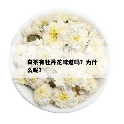 白茶有牡丹花味道吗？为什么呢？