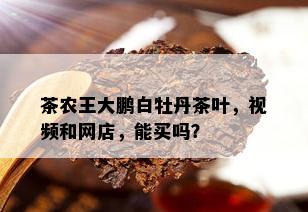 茶农王大鹏白牡丹茶叶，视频和网店，能买吗？