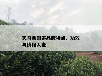 天马普洱茶品牌特点、功效与价格大全