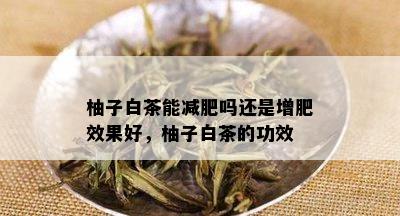 柚子白茶能减肥吗还是增肥效果好，柚子白茶的功效