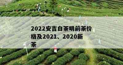 2022安吉白茶明前茶价格及2021、2020新茶