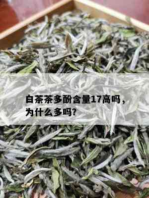 白茶茶多酚含量17高吗，为什么多吗？