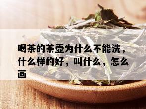 喝茶的茶壶为什么不能洗，什么样的好，叫什么，怎么画