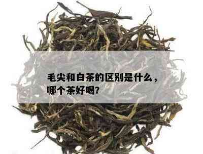 毛尖和白茶的区别是什么，哪个茶好喝？