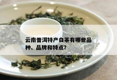 云南普洱特产白茶有哪些品种、品牌和特点？